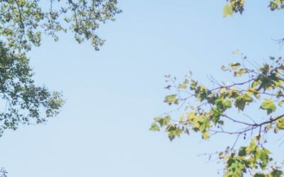 Constellation familiale à Chambéry : participer à un atelier à 20 minutes de chez vous