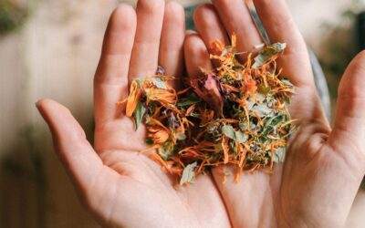 Naturopathe à Chambéry : comment se déroule un accompagnement ?