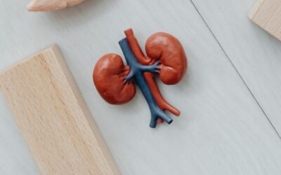 NeuroConstellation et système nerveux : ce que la théorie polyvagale change