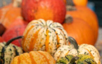 Immunité : préparer l’automne dès maintenant par le terrain